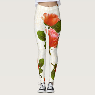 Legging padrão de rosa floral, fundo de vintage.