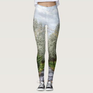 Legging Página inicial da unidade de primavera