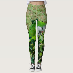 Legging Papagaio verde