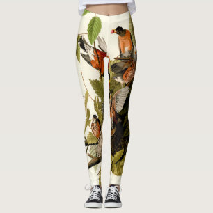 Legging Pássaro Americano Robin Wildlife