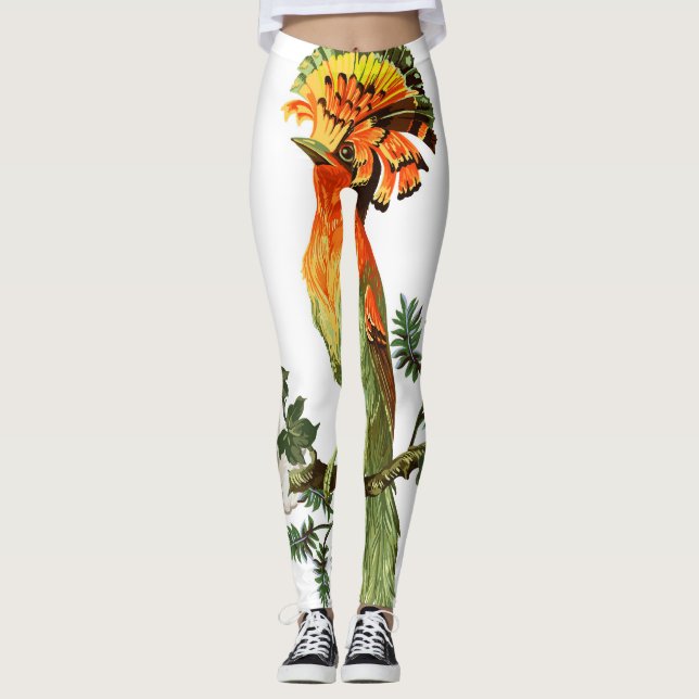 Legging Pássaros do Paraíso: Fundo Floral Exótico (Frente)