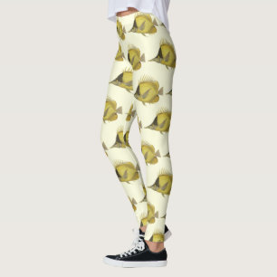 Legging Peixe Tropical Amarelo Chelmon Longirostris, Vinta