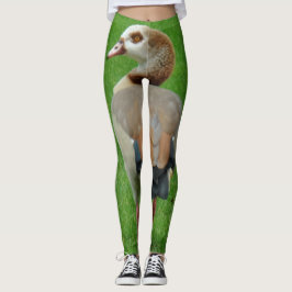 Legging Pernas de aves