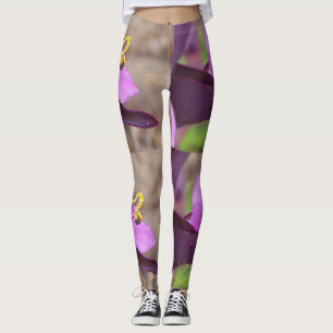 Legging planta púrpura e uma abelha minúscula atada sobre