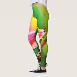 Legging Rainbow Wing Beauty