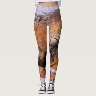 Legging Retrato do Iguana
