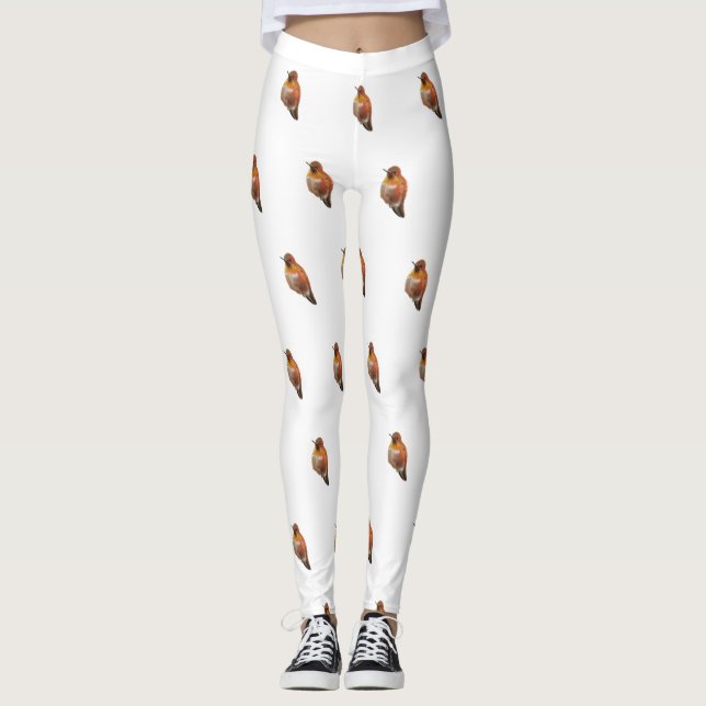 Legging Rufous Hummingbird (Selasphorus rufus) (Frente)