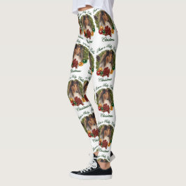 Legging Sable Rough Collie Natal