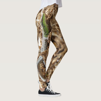 Legging Salamandra de lagarto Emerald na terra