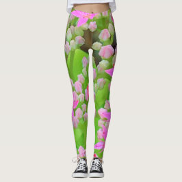 Legging Sedum Suculto Rosa Quente com Folhas Verdes Inchad