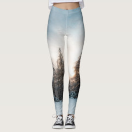 Legging Sol atrás de árvores de abeto