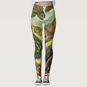 Legging Tartarugas e tartarugas de mar do vintage por