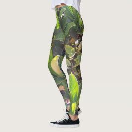 Legging Verde Divertido Deixa Leggências Impressão naturai