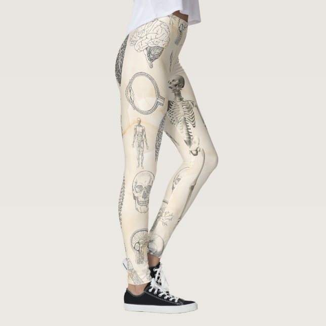 Legging Vintage da Anatomia Humana (Direita)