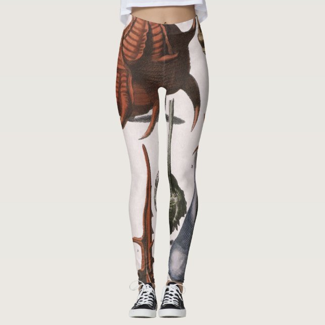 Legging Vintage Seashells, conchas oceânicas Marinhas (Frente)