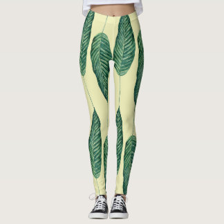 Legging Where Is Wake Forest