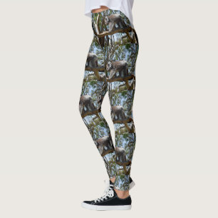 Legging Wild Koala Bear Caminhando Em Um Ramal De Árvore,