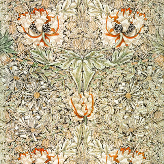 Legging William Morris Honeysuckle Padrão Floral