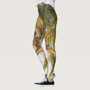 Leggings da árvore palma