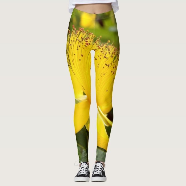 Leggings de Hypericum Calcyinum (Frente)