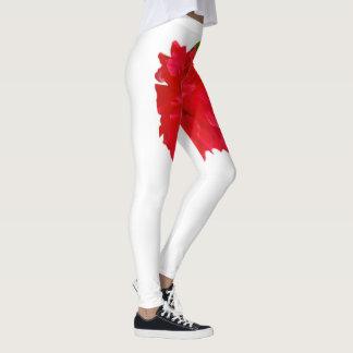 Leggings de Natal do Santa Claus