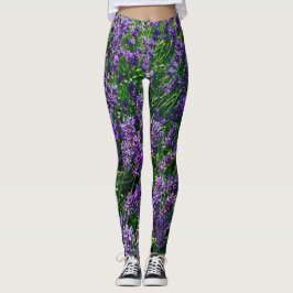 Leggings dos Campos de lavanda