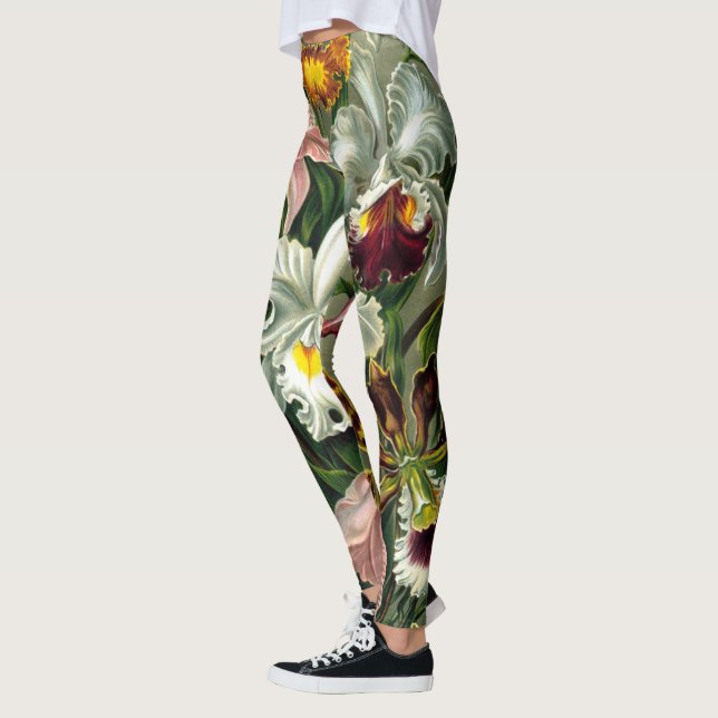 Leggings Orchidaceae de Ernst Haeckel (Esquerda)