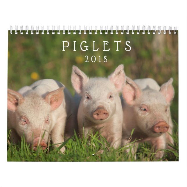 Leitão doces 2018 - calendário de parede dos (Capa)