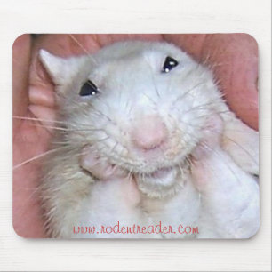 Leitor Mousepad do roedor