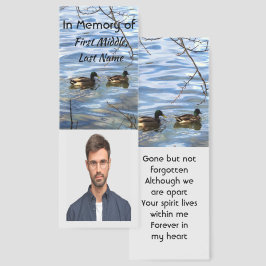 Lembrança Memorial Patos Lagos Aves