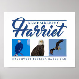 Lembrando Harriet SWFL Eagle Cam Wall Poster