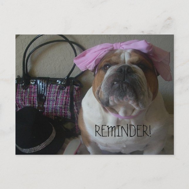 LEMBRETE DO CARTÃO POSTAL BULLDOG INGLÊS (Frente)