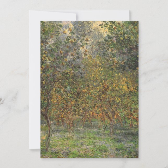 Lemon Grove em Bordighera por Claude Monet (Frente)