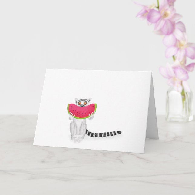 Lêmur de cauda branca comendo um cartão de melanci (Orquídea)