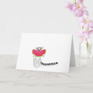 Lêmur de cauda branca comendo um cartão de melanci