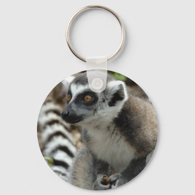 Lemur Monkey Chaveiro (Frente)