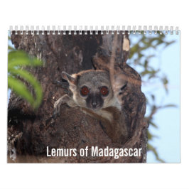 Lemurs do calendário de Madagascar