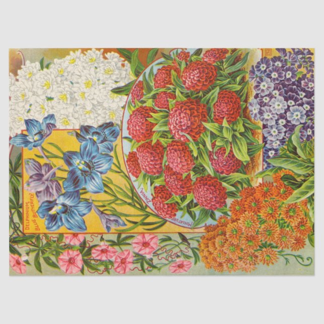 Lenço de papel antigo da flor dos anuários (Frente )