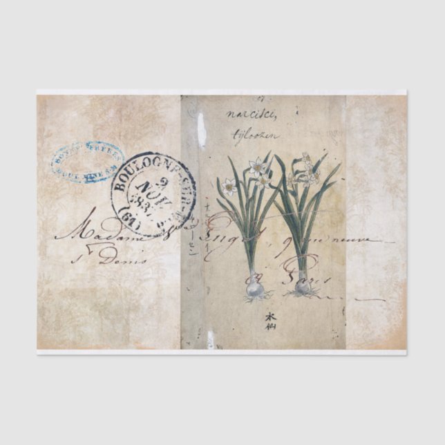 Lenço de papel botânico do porte postal de Paris (Frente )