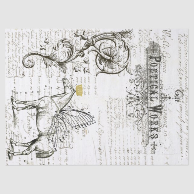 Lenço de papel da colagem de Digitas do roteiro do (Frente )