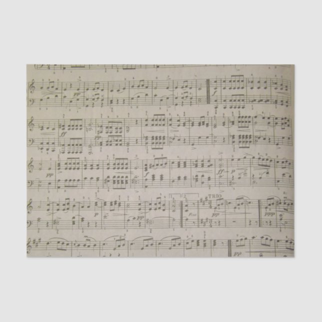 Lenço de papel de Menuetto (Frente )