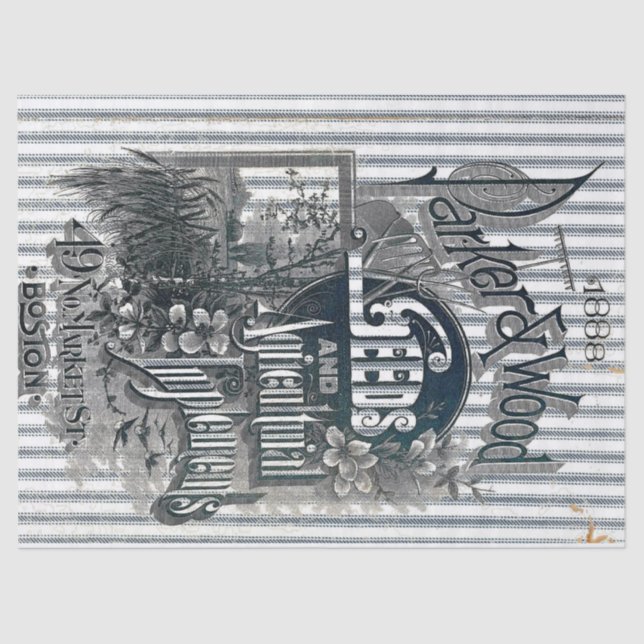 Lenço de papel de tiquetaque do saco da semente (Frente )