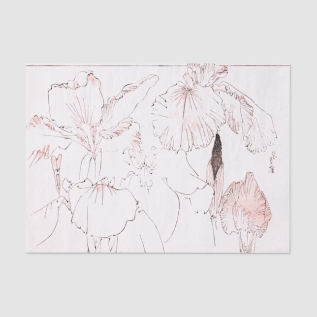 Lenço de papel do IMPRESSÃO da ÍRIS JAPONESA (Frente )