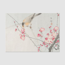 Lenço de papel do pássaro