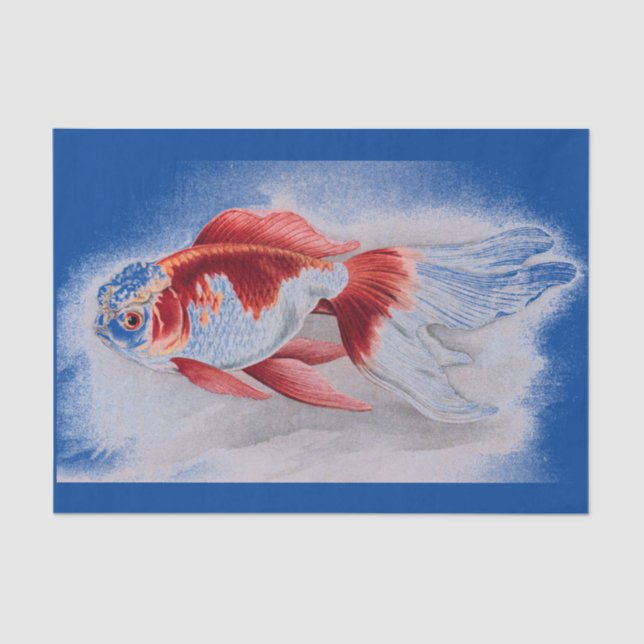 LENÇO DE PAPEL DO PEIXE DOURADO DO IMPRESSÃO DO (Frente )