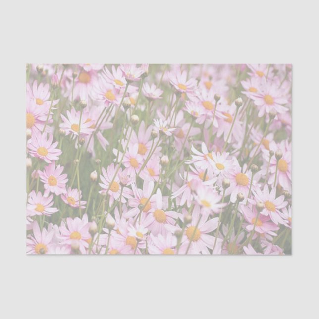 Lenço de papel feliz do lugar (Frente )