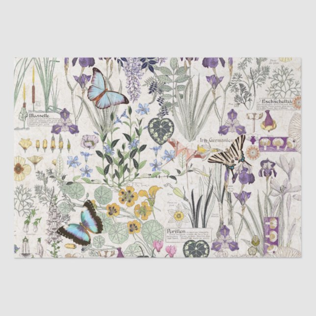 Lenço de papel francês das flores de borboleta de (Frente )