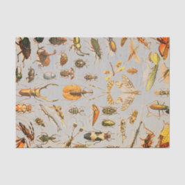 Lenço de papel MUITO LEGAL do INSETO