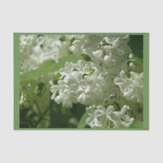 Lenço de papel para você presente especial