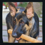 Lenço German shepherd de Shirley Taylor<br><div class="desc">German shepherd bandana. Clique no botão Personalizar para adicionar seu texto. A imagem pode ser rodada ou redimensionada.</div>